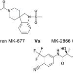 Ibutamoren MK-677 vs Ostarine MK-2866 Review