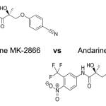 Ostarine MK-2866 vs Andarine-S4 Review
