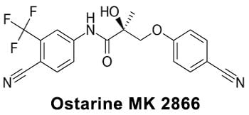 Ostarine MK-2866